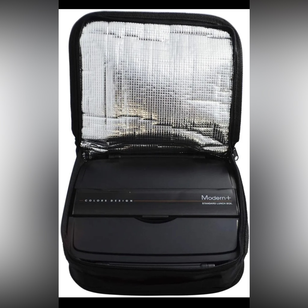 Bento Compartment Modern+ Standard Lunch Box Portion Controlled